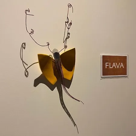 Air Casa Dodo 3* Geraardsbergen